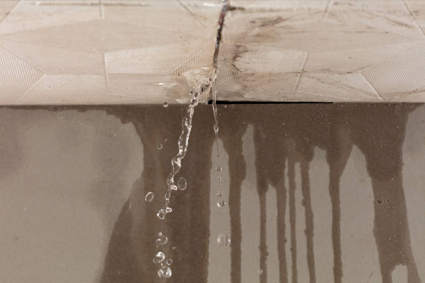 Professional Structural Drying technician working in Chappell Hill, TX